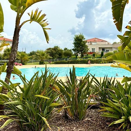Beachside Apartment With Pool & Garden In Juan Les Pins 앙티브 외부 사진