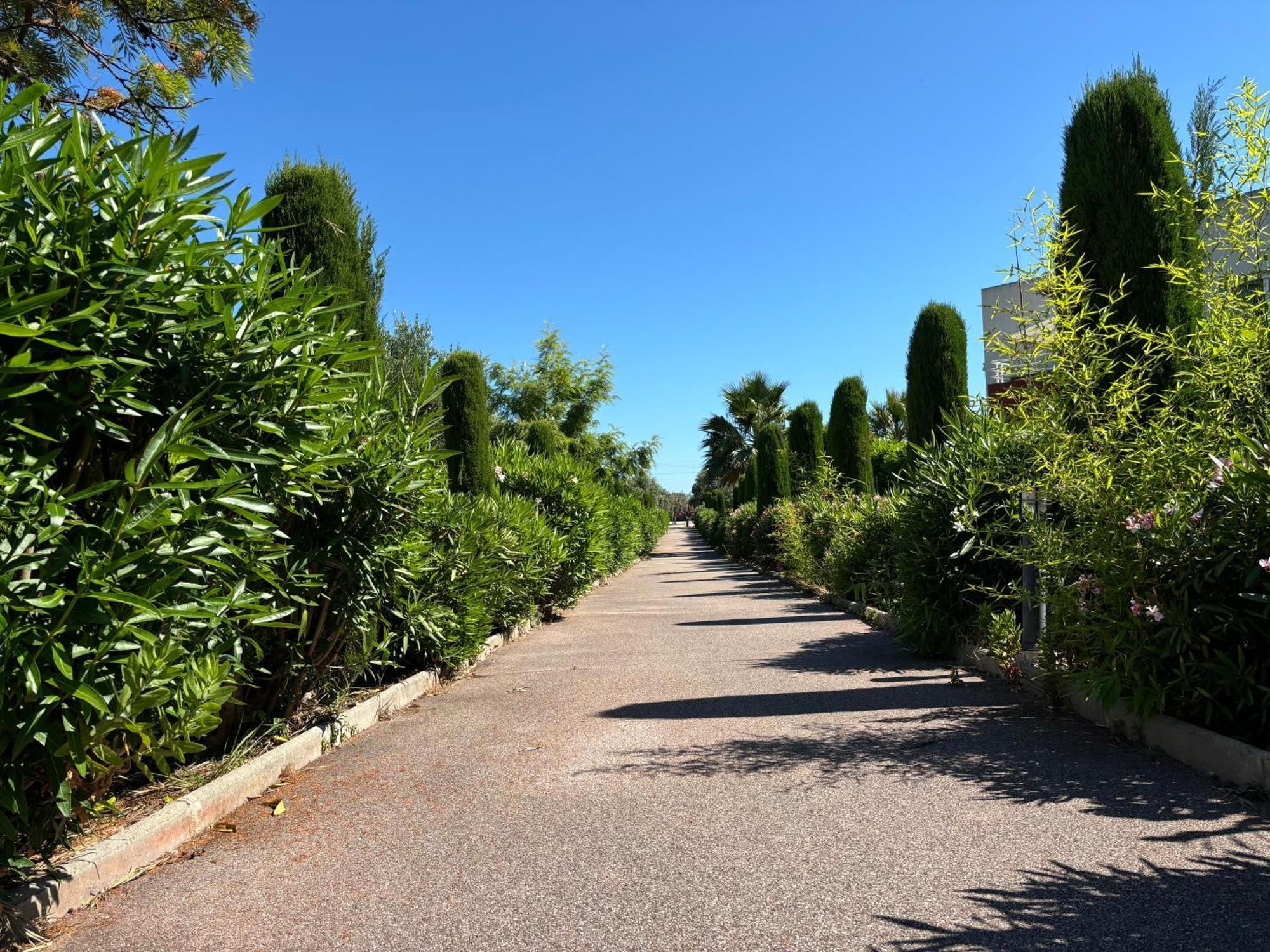Beachside Apartment With Pool & Garden In Juan Les Pins 앙티브 외부 사진
