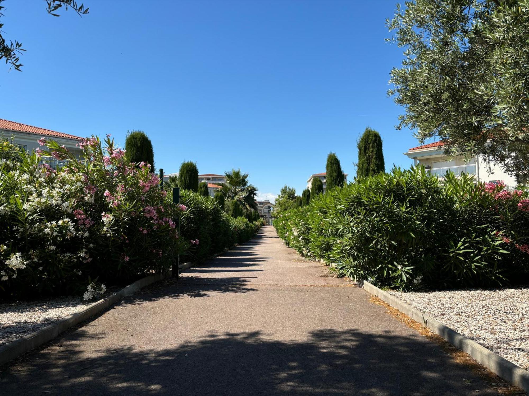 Beachside Apartment With Pool & Garden In Juan Les Pins 앙티브 외부 사진