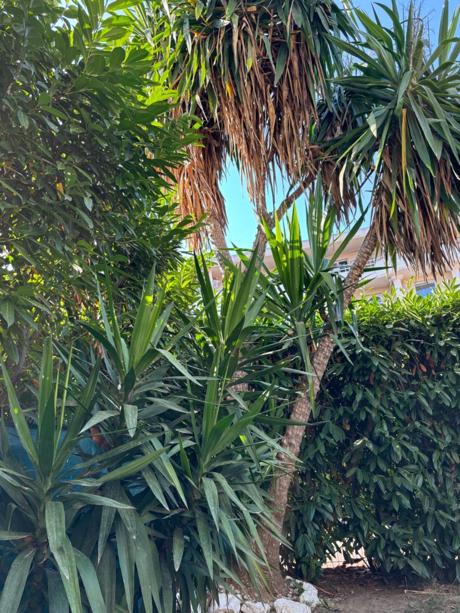 Beachside Apartment With Pool & Garden In Juan Les Pins 앙티브 외부 사진