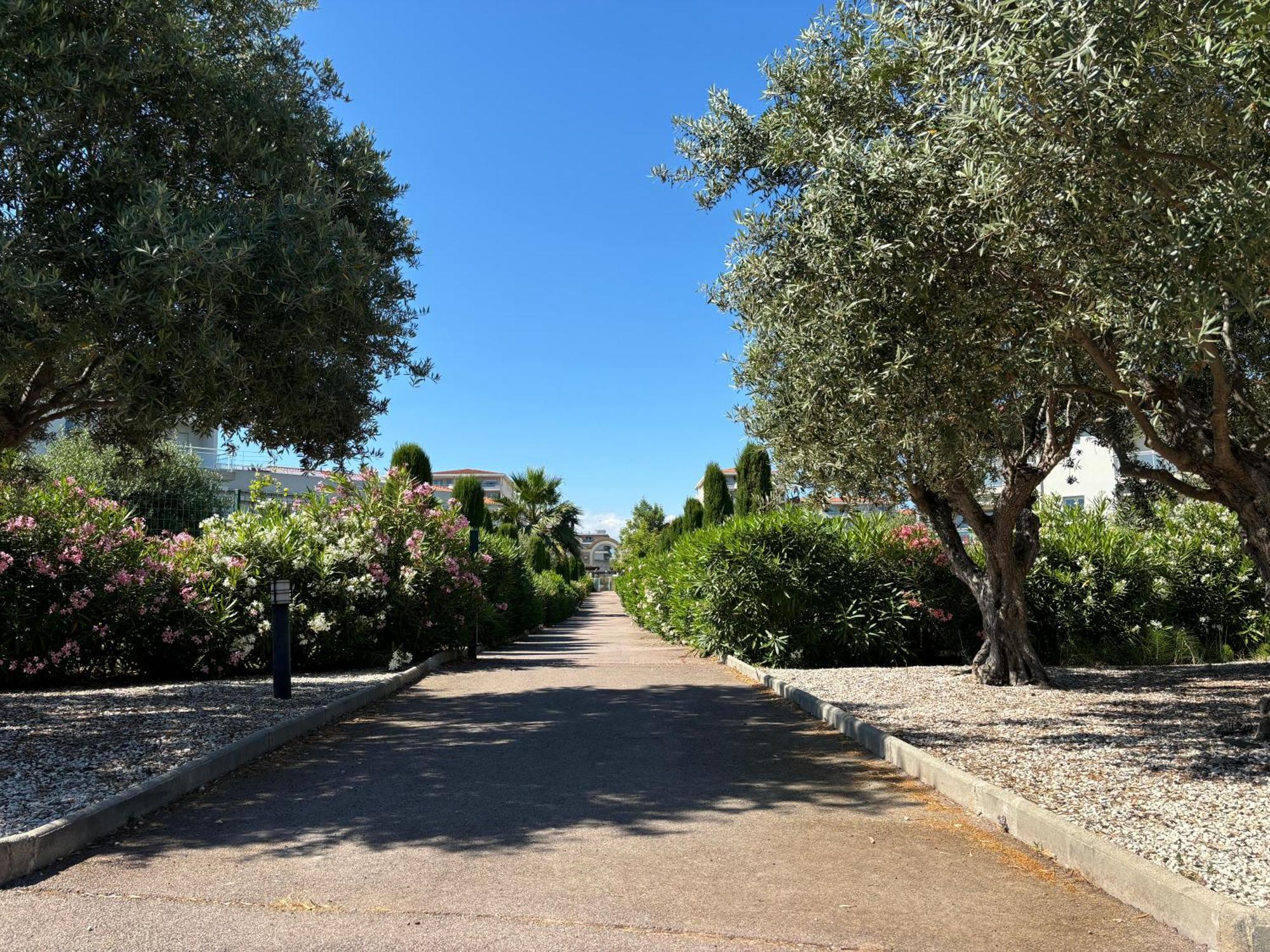 Beachside Apartment With Pool & Garden In Juan Les Pins 앙티브 외부 사진
