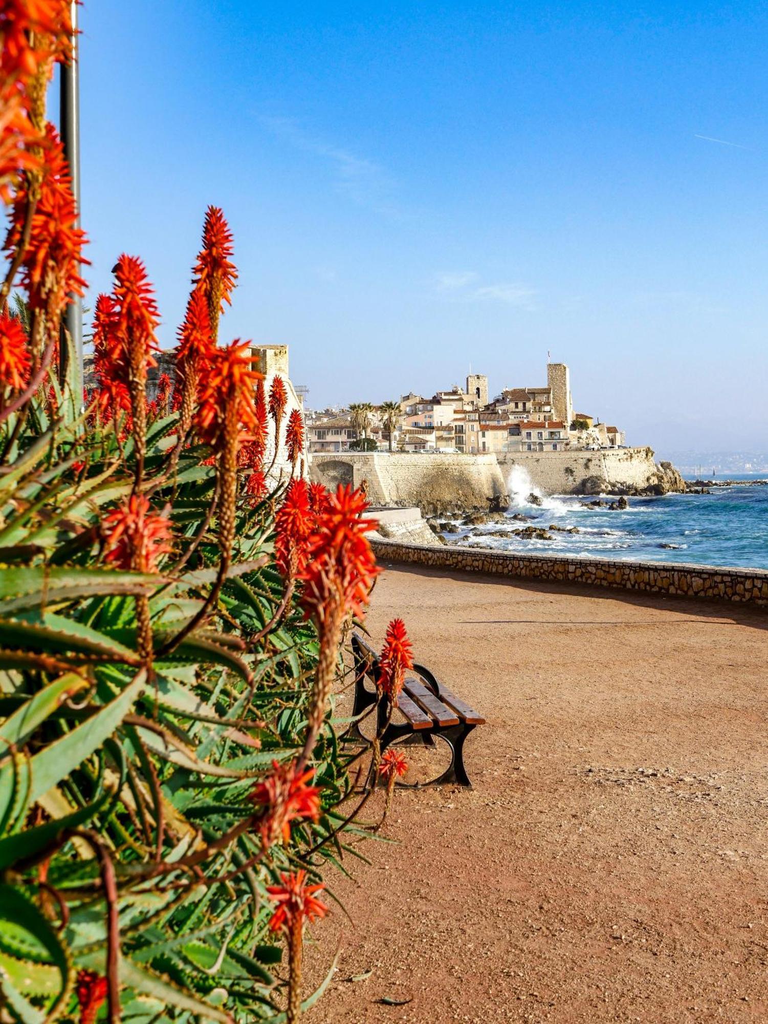 Beachside Apartment With Pool & Garden In Juan Les Pins 앙티브 외부 사진
